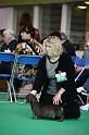 Crufts2011_2 797